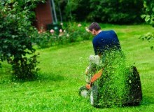 Kwikfynd Lawn Mowing
cainbable